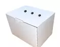 Distributeur de pré-rolls carton avec tiroir blanc CBD -  14,50 x 11,5 x 11 cm | OD3035 | Bulteau Systems